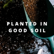 planted in good soil